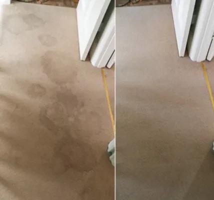 Side-by-side carpet photos showing stained and treated areas